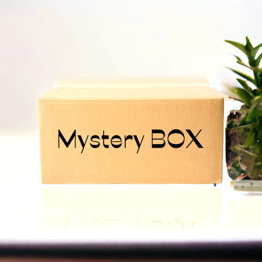 Mystery Box - Cleaning Products