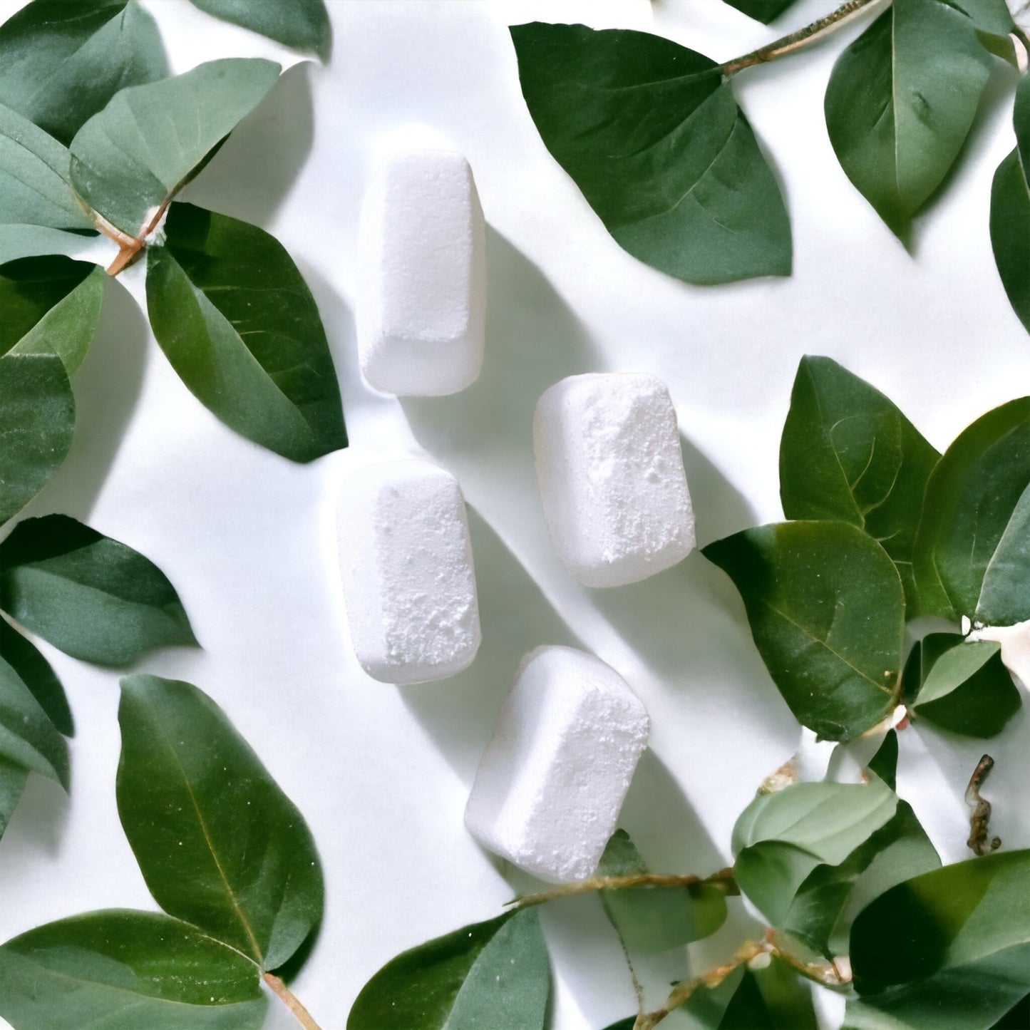 Plant-Based Floor Cleaner - Peppermint