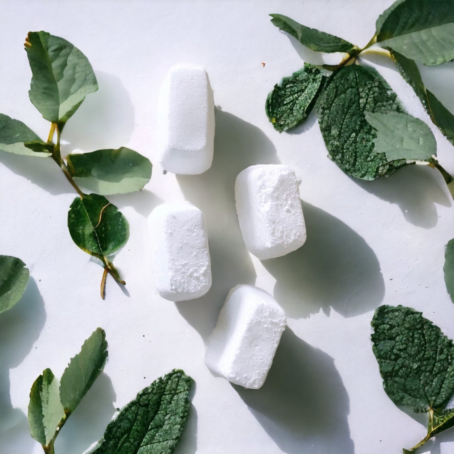 Plant-Based Floor Cleaner - Peppermint