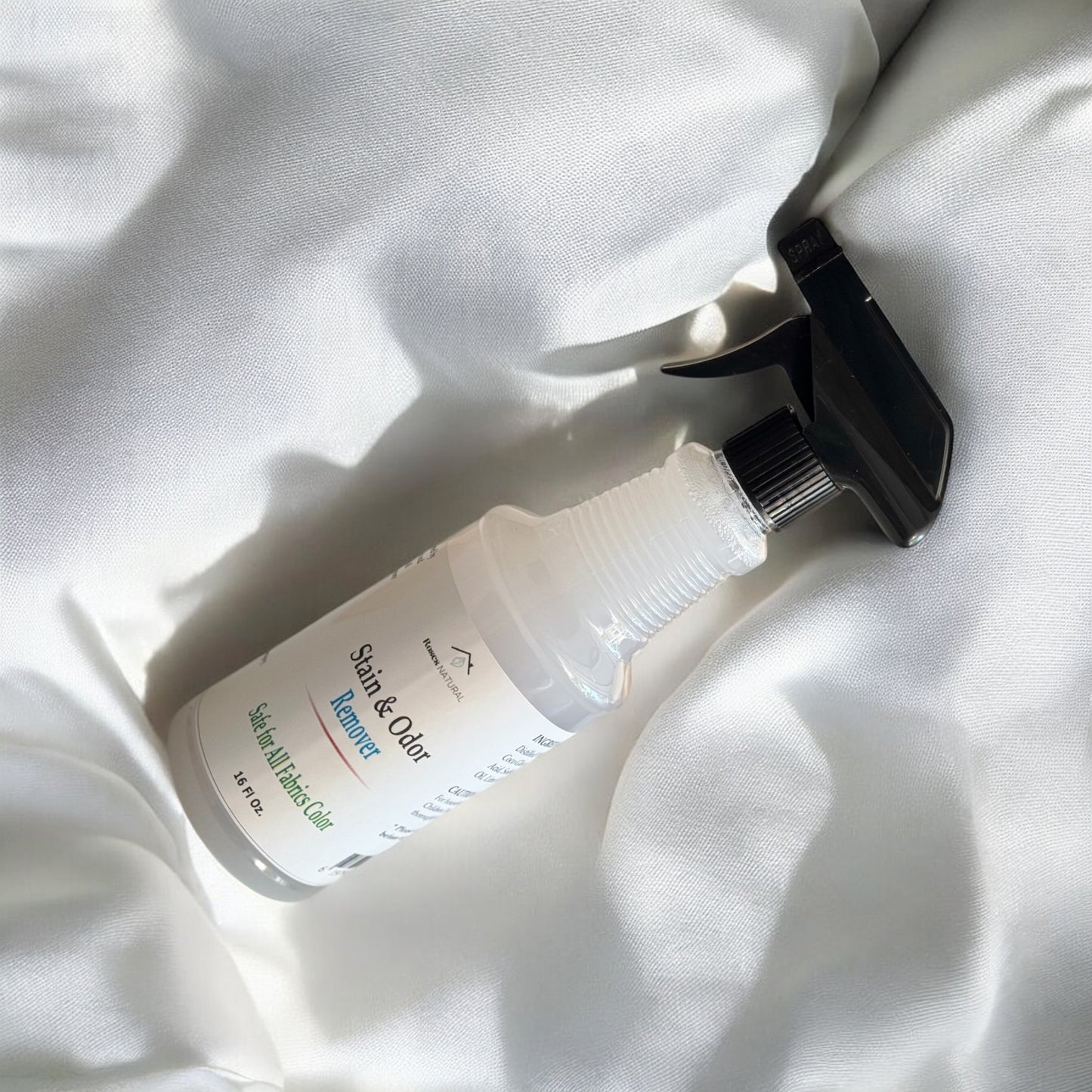 Stain & Odor Remover