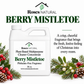 Limited-Edition Holiday Multipurpose Cleaner Concentrate | 36 oz
