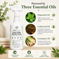 Roses Natural Plant-Based Insect & Bug Repellent Spray