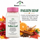 Limited-Edition Holiday Carpet Freshener | 16 oz