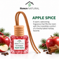 Limited-Edition Holiday Car Freshener