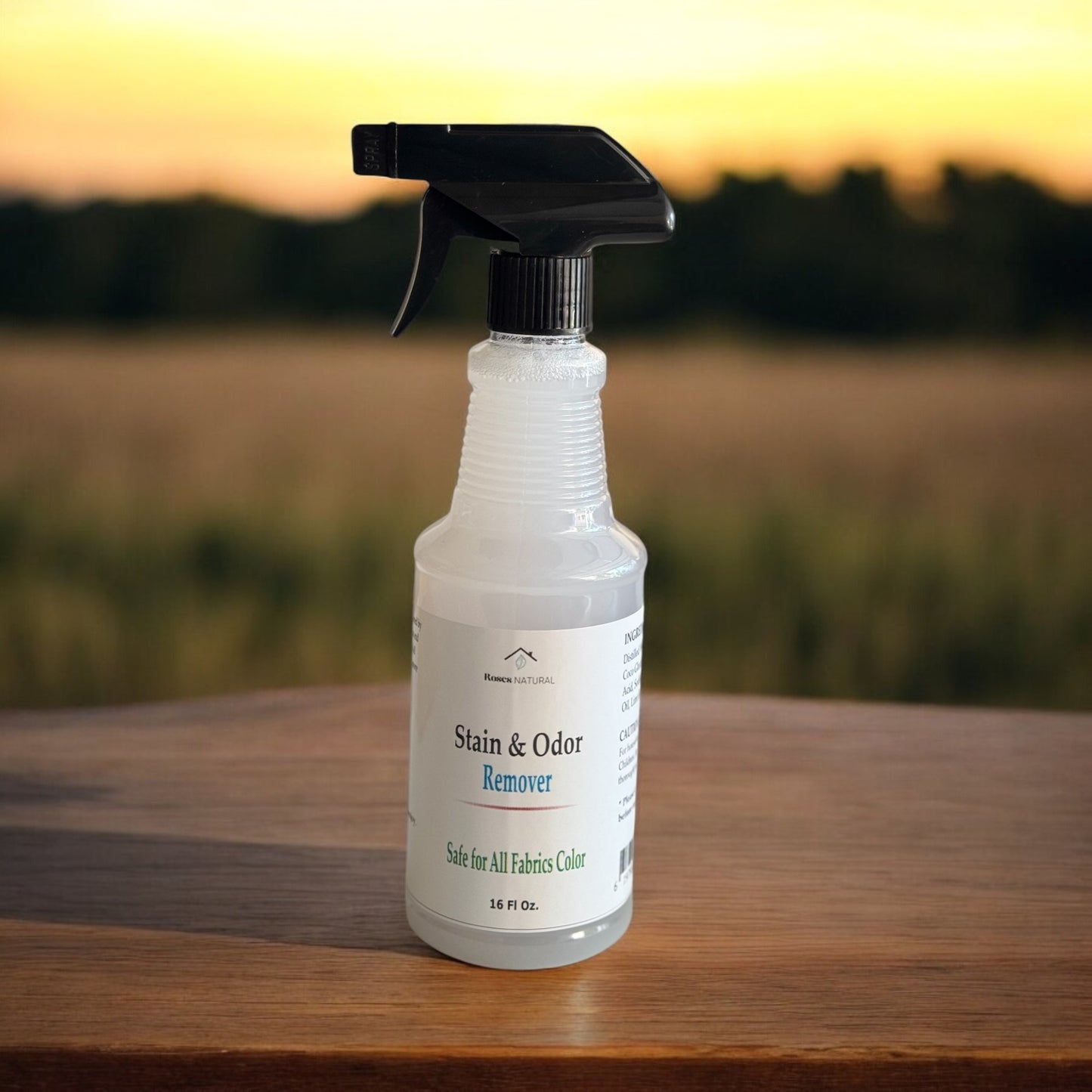 Stain & Odor Remover