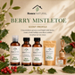 Holiday Discovery Set | 5-Piece Home & Car Care Sampler