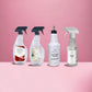 4 Cleaning Essential Kit