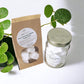 Plant-Based Floor Cleaner - Peppermint